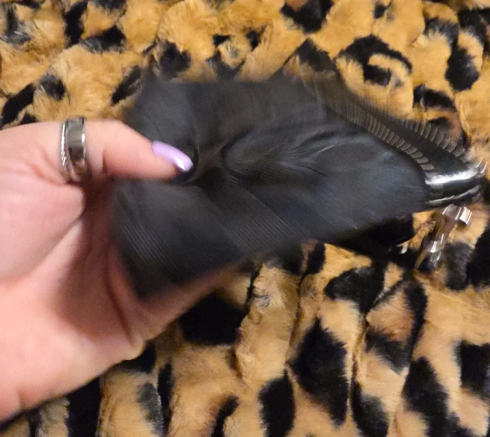 Coach Black Signature Wristlet Clutch